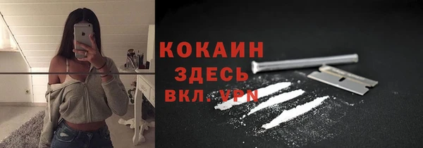 соль ск Волосово