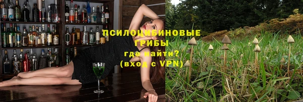 молекула духа Заречный