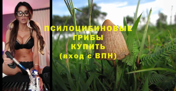 соль ск Волосово
