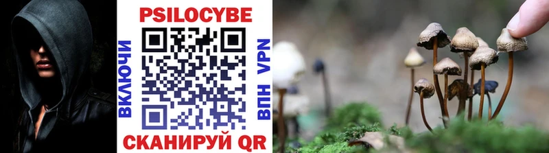 Галлюциногенные грибы мицелий  Макаров 